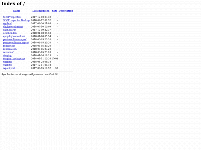 seogrowthpartners.com snapshot