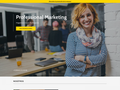 marketinglya.com snapshot
