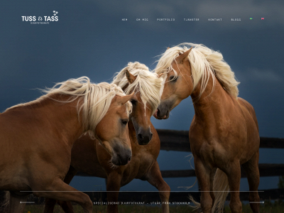 tussochtass.se snapshot