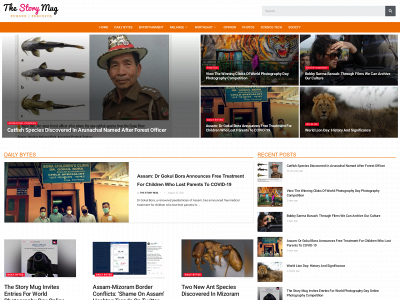 thestorymug.com snapshot