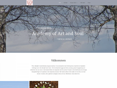 artandsoulacademy.se snapshot