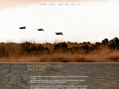 reesidensets.se snapshot