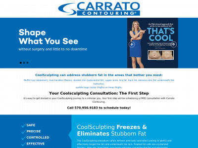 carratocontouring.com snapshot