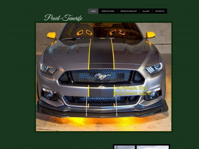 pearl-tenerife.com snapshot