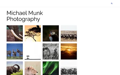 michael-munk.com snapshot