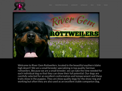 rivergemrottweilers.com snapshot