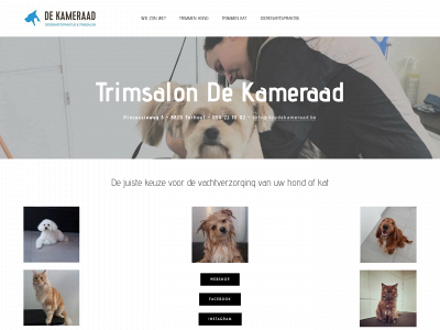 trimsalondekameraad.weebly.com snapshot