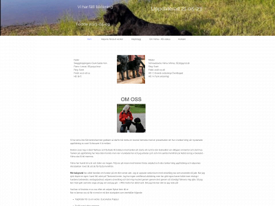 vilmakullen2021.eu snapshot