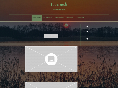 taverna.lt snapshot