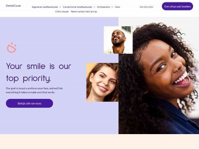 borhani-consulting.nl snapshot