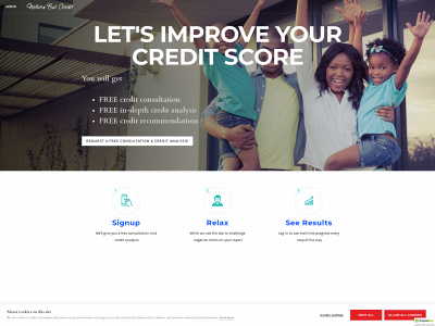 nelsonbutcredit.com snapshot