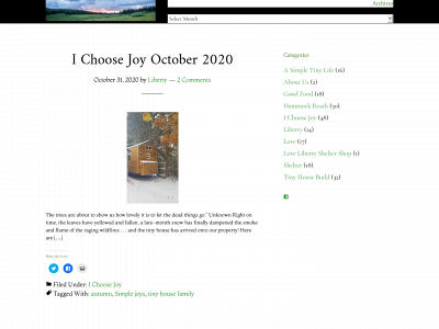 lovelibertyshelter.com snapshot