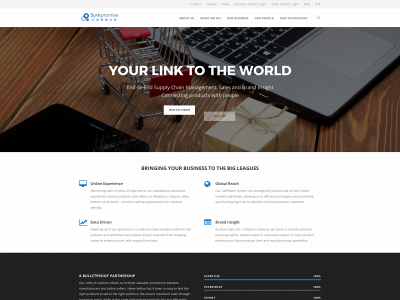 surepromise.com snapshot