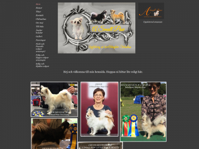 asmallpaw.se snapshot