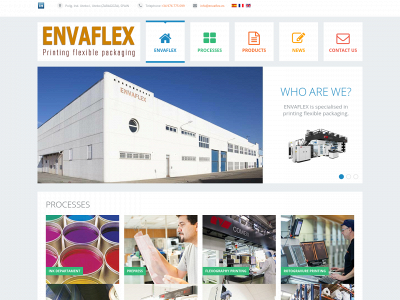 envaflex.net snapshot