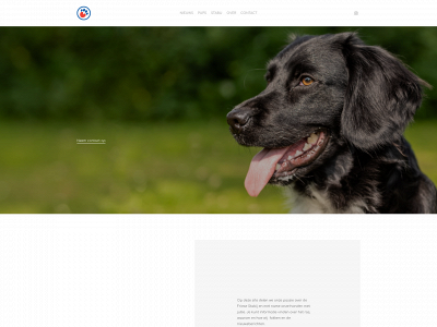 stabijhonden.nl snapshot