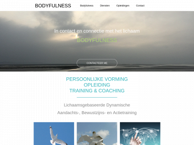 bodyfulness.be snapshot