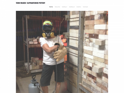 terriwilder.weebly.com snapshot