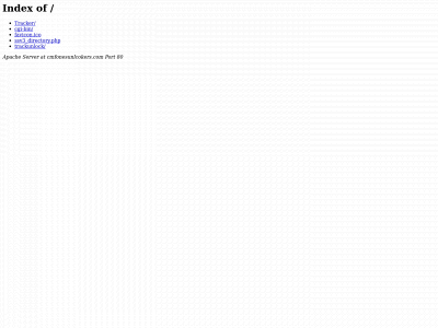 cmfonesunlcokers.com snapshot