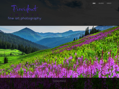 providentimages.com snapshot