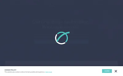meridiansolutionsint.com snapshot