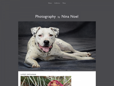 photographybyninanoel.com snapshot