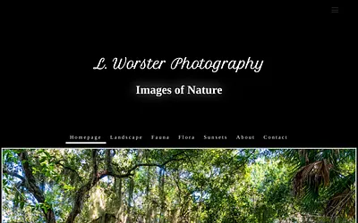 lworster.com snapshot