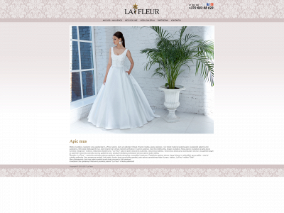 lafleur.lt snapshot