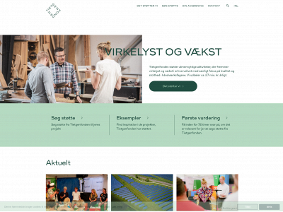 tietgenfonden.dk snapshot