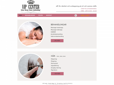 vip-center.se snapshot