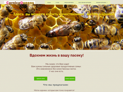 carnicaqueens.com snapshot