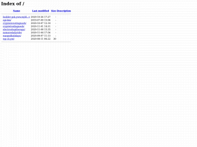 electroshoptherapy.com snapshot