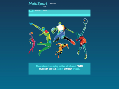 multisportvzw.be snapshot