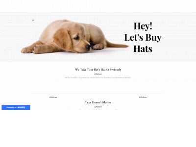 trundlecompanyhats.weebly.com snapshot