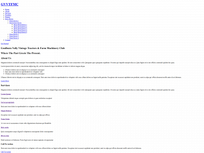 truseo.com snapshot