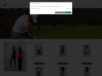 fashioncaddie.se snapshot