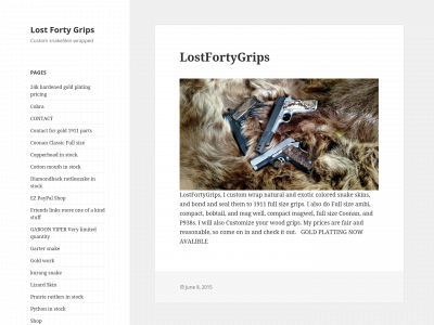 lostfortygrips.com snapshot