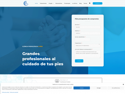 apeuclinicapodologica.es snapshot