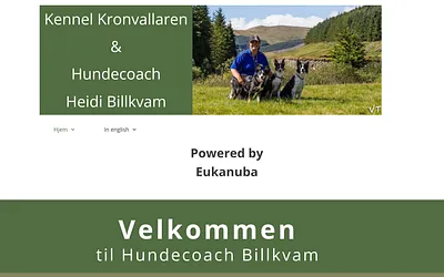 heidibillkvam.no snapshot