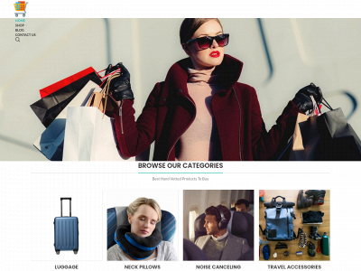 fwtmerch.com snapshot