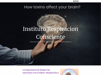 instituto-respiracion-consciente.com snapshot