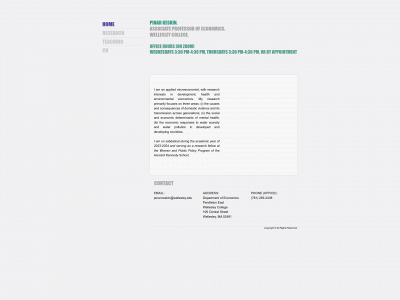 pinarkeskin.com snapshot