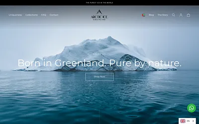 arcticice.ae snapshot