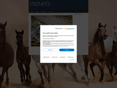 ddandco.be snapshot