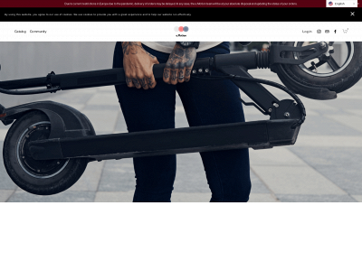 emotionpatinetes.com snapshot