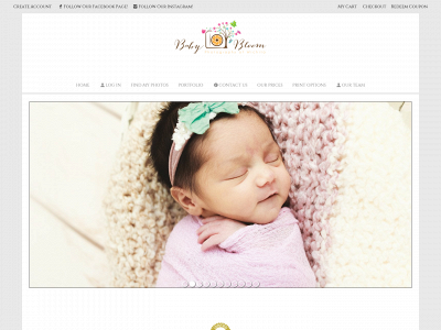 babybloomofwichita.com snapshot