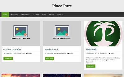 placepure.com snapshot