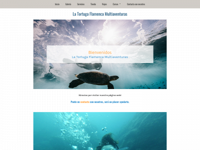 latortugaflamencamultiaventuras.com snapshot