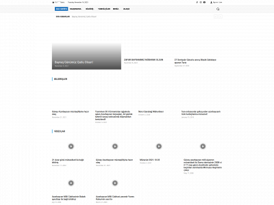 aznf.org snapshot