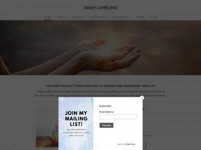 www.ashleylomelino.com snapshot